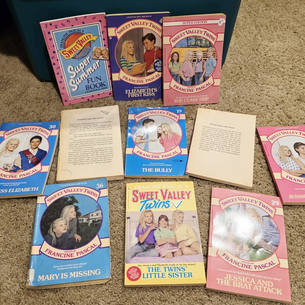 Vintage Sweet Valley Twins Book Collection
